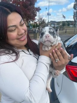 Aisha Nelly.'s puppy
